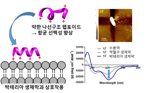 본문이미지