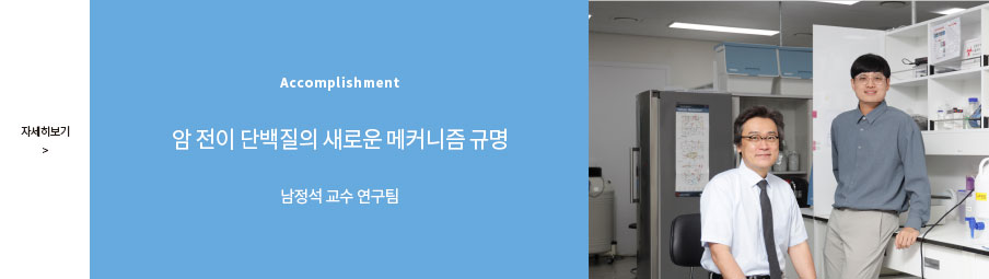 링크이미지