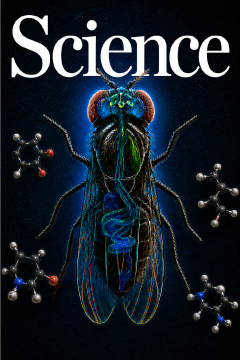 초파리가 표지에 실린 Science 저널 커버